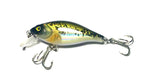 Zenetic Crankbait